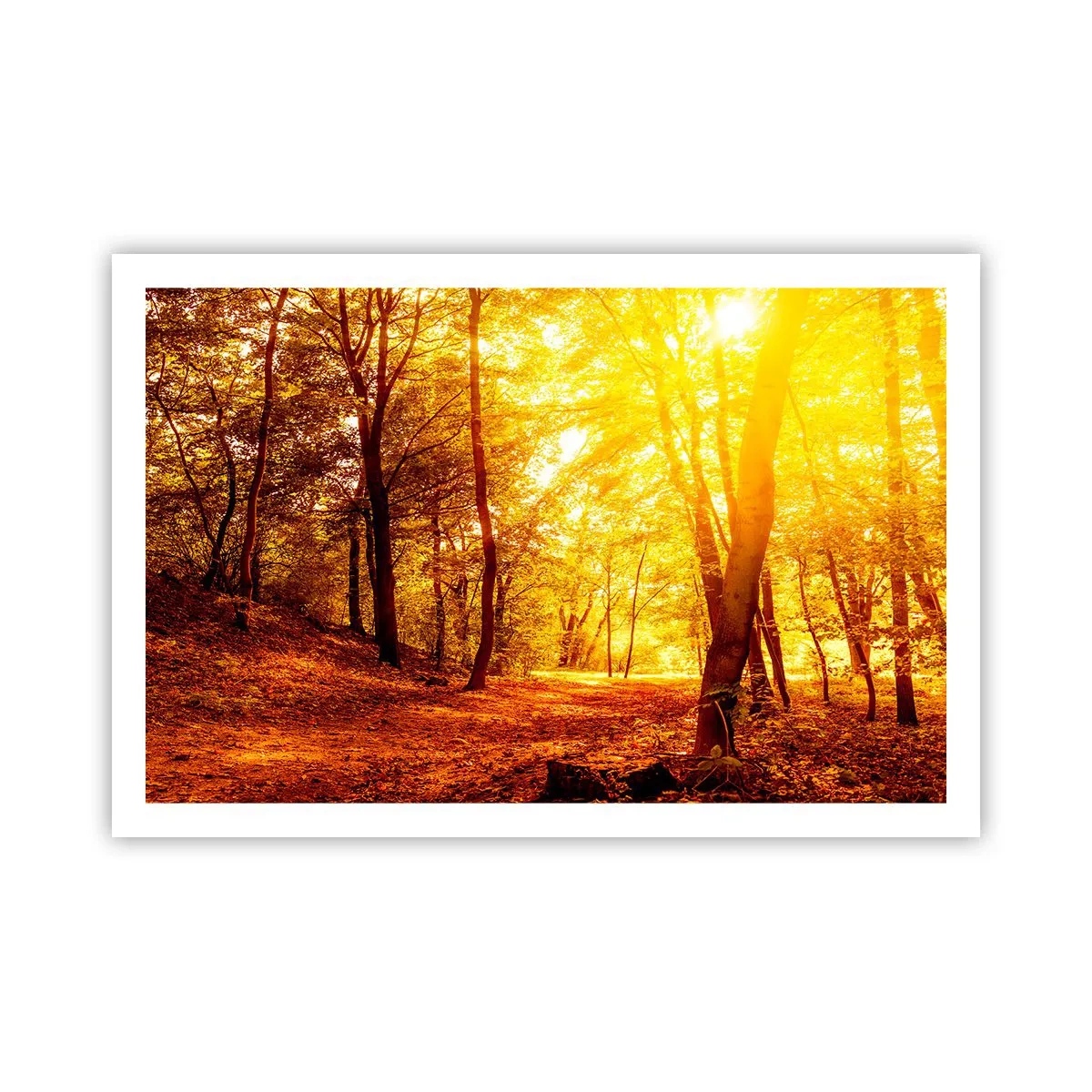 Plagát - K zlatej čistinke - 91x61 cm