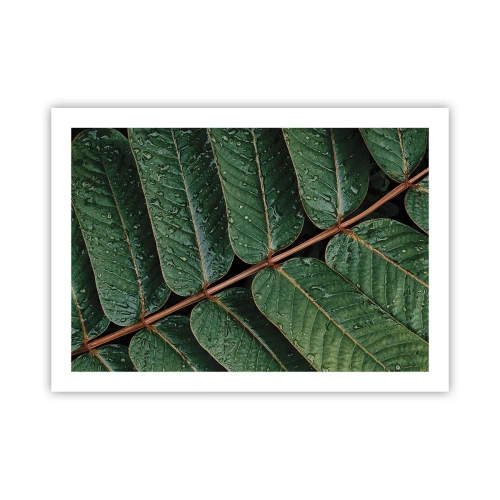 Plagát - V zelenom rytme - 70x50 cm