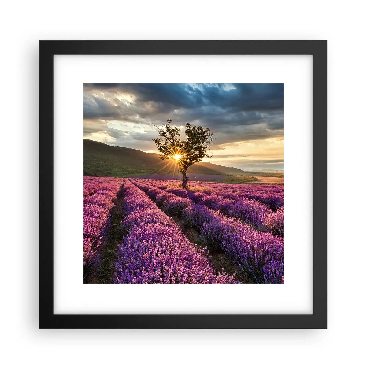 Plagát v čiernom ráme - Aróma vo fialovej - 30x30 cm
