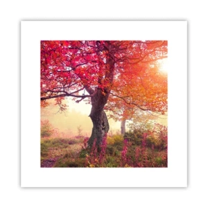 Plagát - Šialenstvo rozkvetu - 30x30 cm