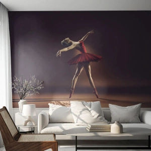 Fototapeta Standard Eco - Prima balerína - Balerína, Tancujte, balet - 250x175 cm