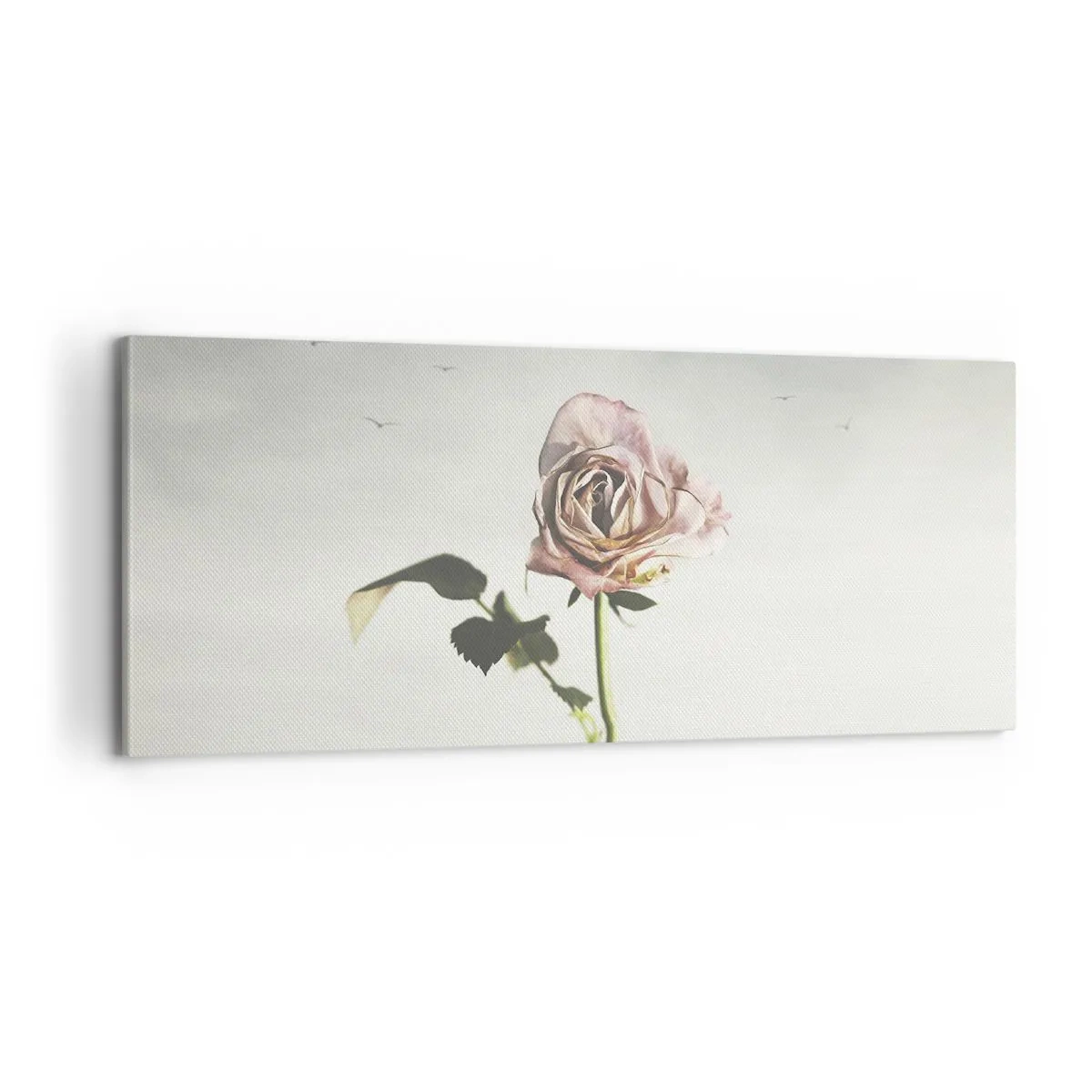 Obraz na plátne - Vítanie jari - 100x40 cm
