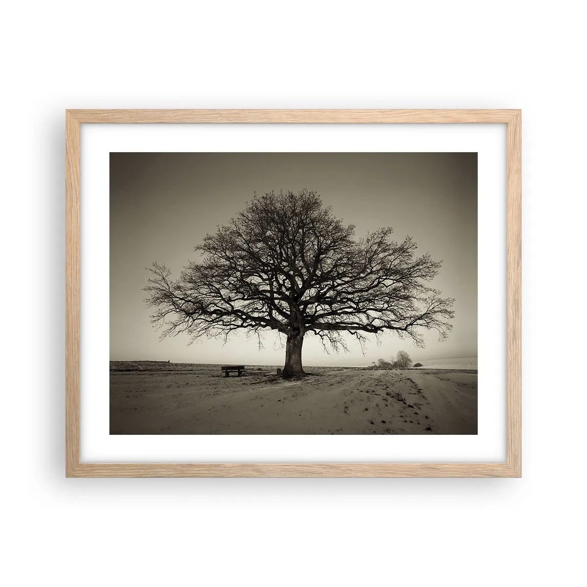 Plagát v ráme zo svetlého duba - Odtiaľ až do večnosti - 50x40 cm