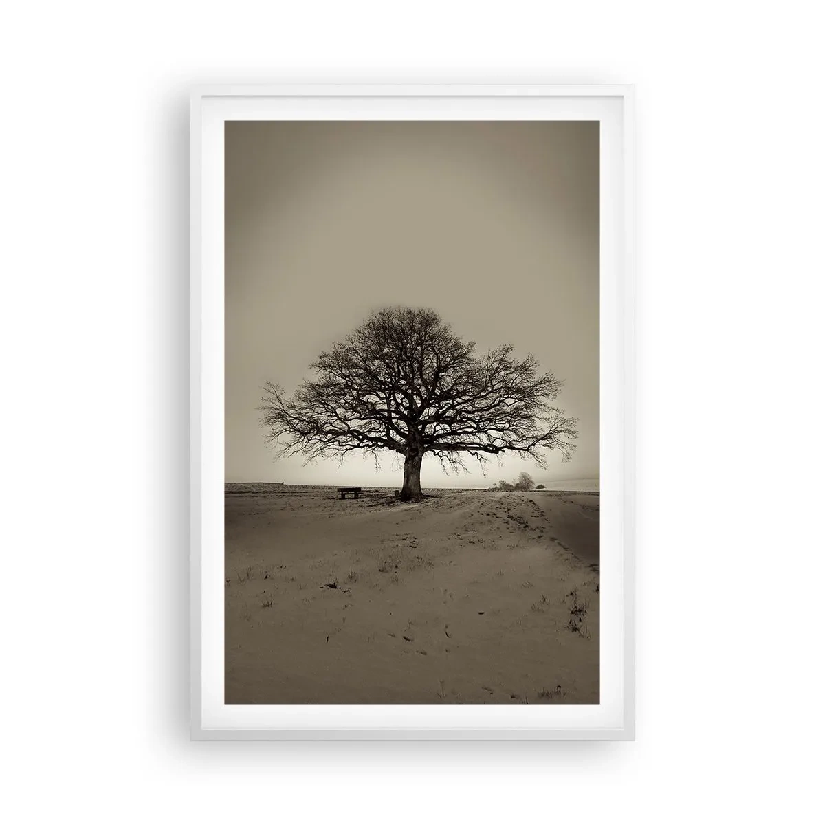 Plagát v bielom ráme - Odtiaľ až do večnosti - 61x91 cm