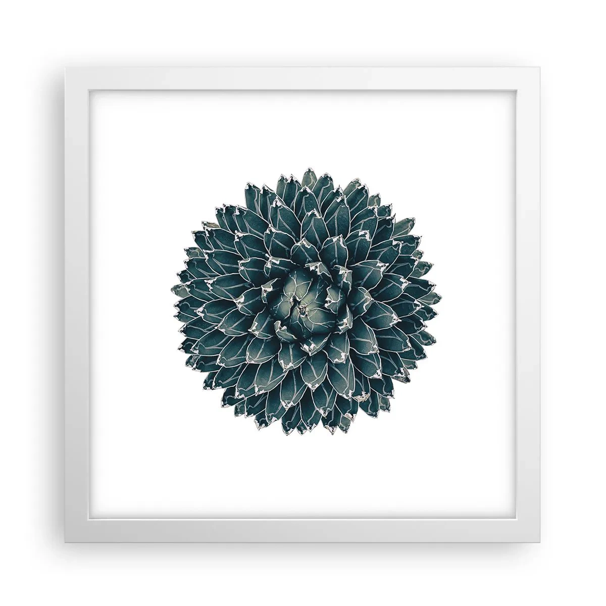 Plagát v bielom ráme - Hviezda púšte - 30x30 cm