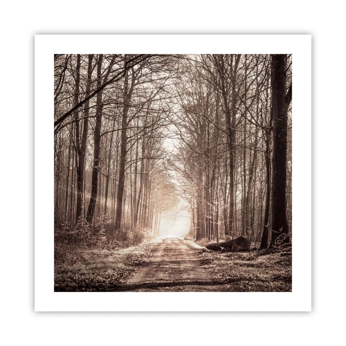 Plagát - Lesná katedrála - 50x50 cm