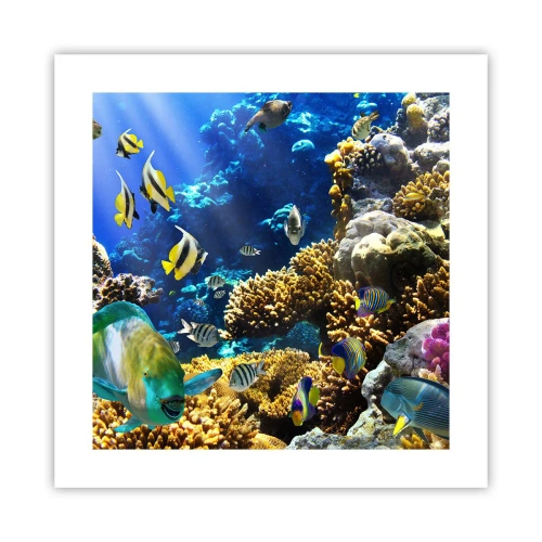 Plagát - Veľká prevádzka na prázdninovom chodníku - 40x40 cm