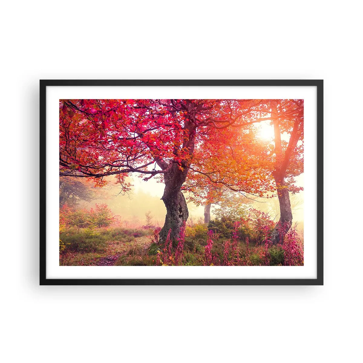 Plagát v čiernom ráme - Šialenstvo rozkvetu - 70x50 cm
