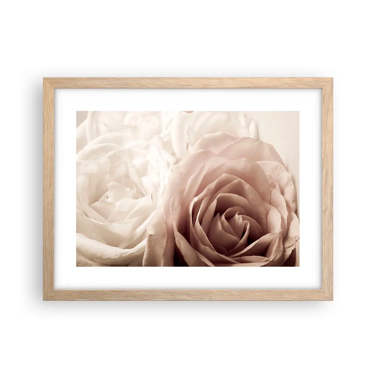 Plagát v ráme zo svetlého duba - V srdci ruže - 40x30 cm