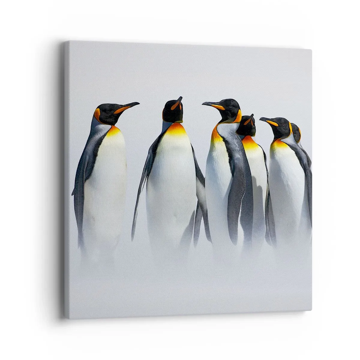 Obraz na plátne - Stretnutie vo večerných róbach - 40x40 cm