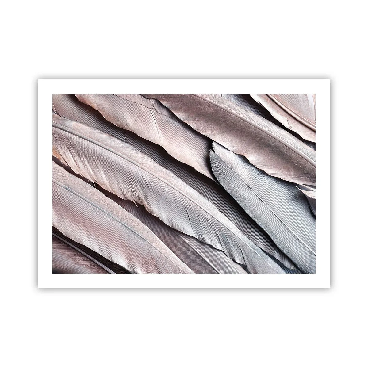 Plagát - V ružovej a striebornej - 70x50 cm