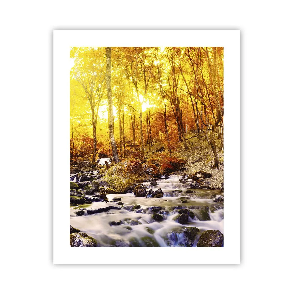 Plagát - Kamene zasadené do zlata a platiny - 40x50 cm