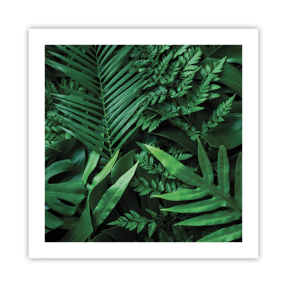 Plagát - Objaté v zeleni - 50x50 cm