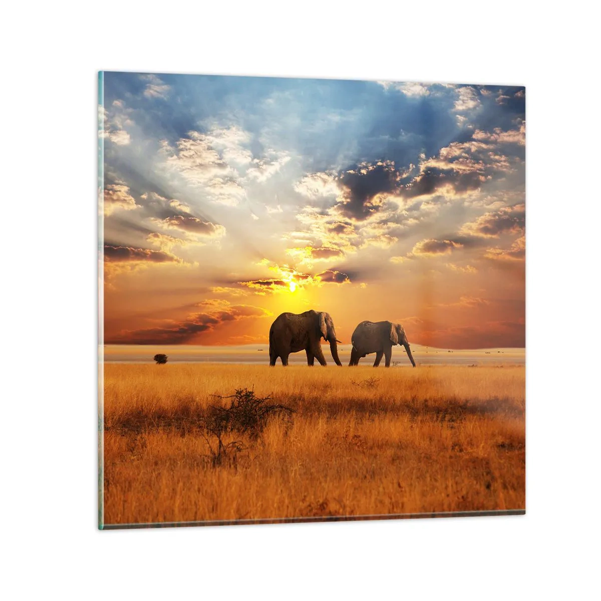 Obraz na skle - Rodinná prechádzka - 40x40 cm