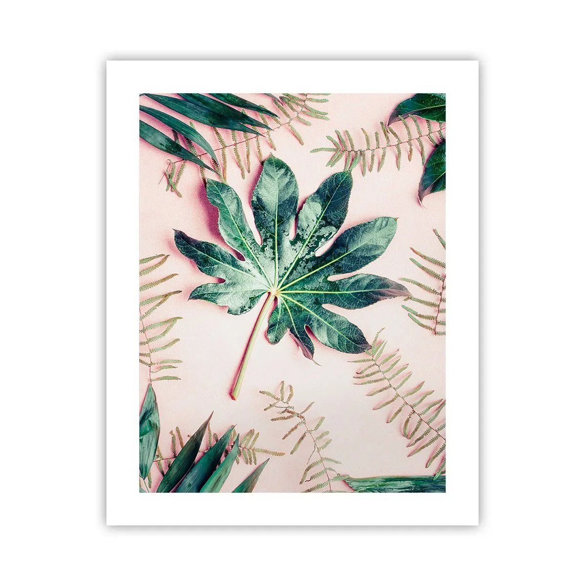 Plagát - Štúdia zelenej na ružovom pozadí - 40x50 cm