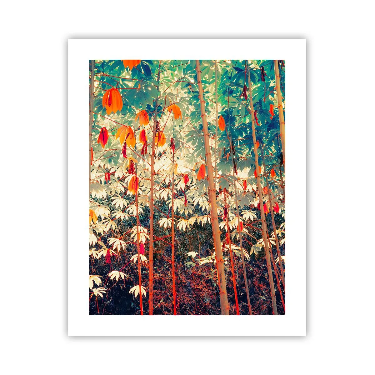 Plagát - Tajný život listov - 40x50 cm