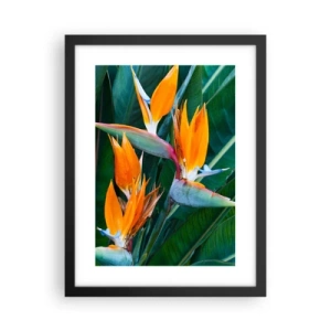 Plagát v čiernom ráme - Je to kvetina, alebo vták? - 30x40 cm