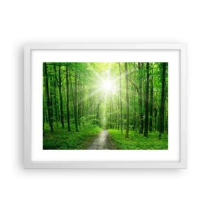 Plagát v bielom ráme - Zelená katedrála - 40x30 cm