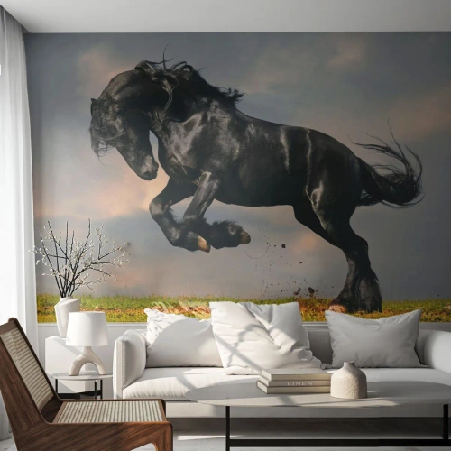 Fototapeta Premium Sand - Krásny a slobodný - Zvieratá, Kôň, Krajina - 500x350 cm