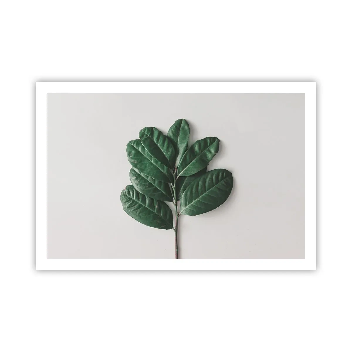 Plagát - Kresba samotnej prírody - 91x61 cm