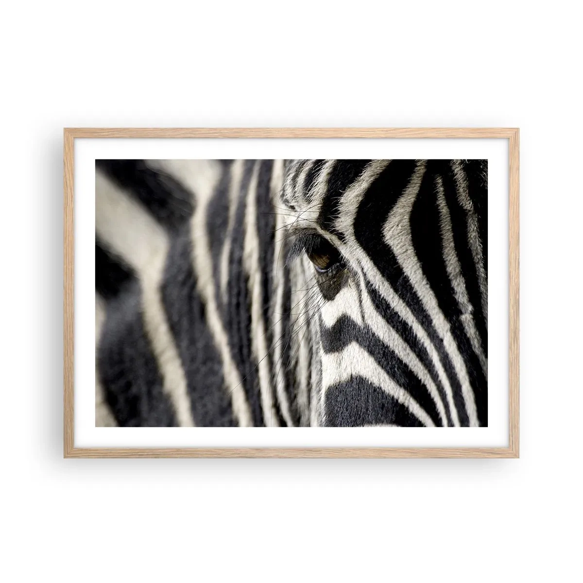 Plagát v ráme zo svetlého duba - Portrét s pruhmi - 70x50 cm