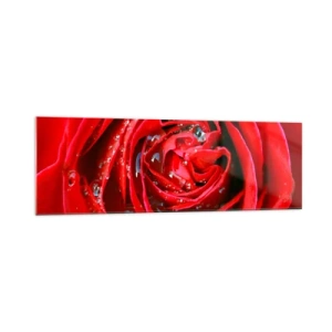 Obraz na skle - V kvapkách rosy - 160x50 cm