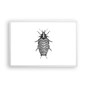 Plagát v bielom ráme - Vzorový exemplár! - 91x61 cm