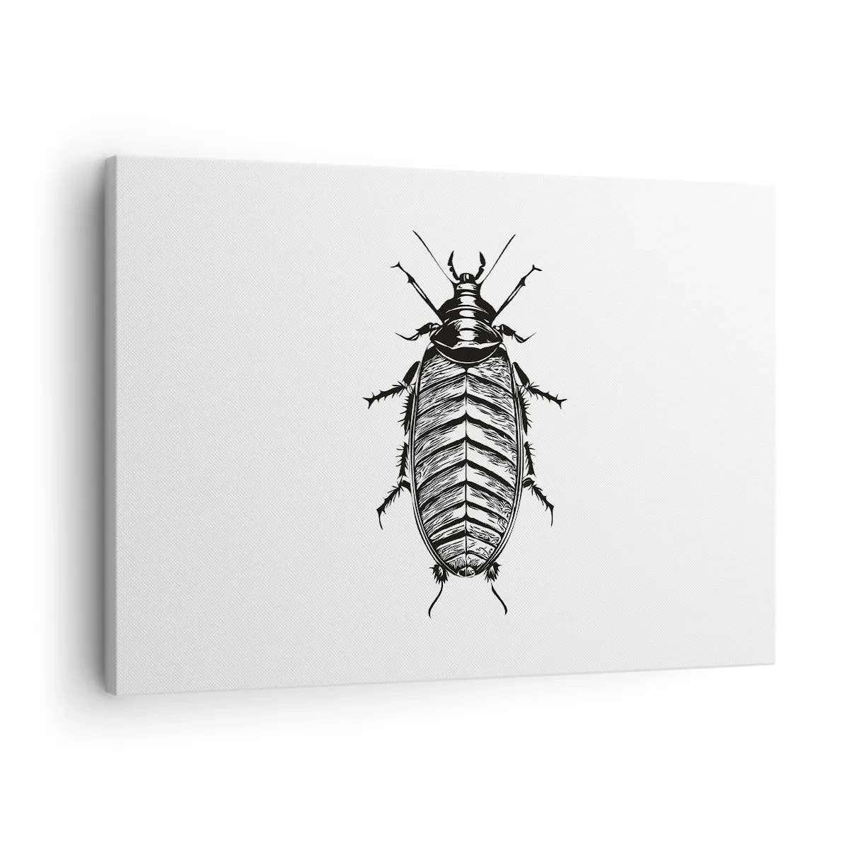 Obraz na plátne - Grafika čiernobieleho hmyzu na bielom pozadí - 70x50cm - Vzorový exemplár! - Moderná nástenná dekorácia do obývacej izby a spálne ARTTOR