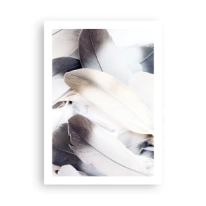 Plagát - Takmer anjelské - 50x70 cm