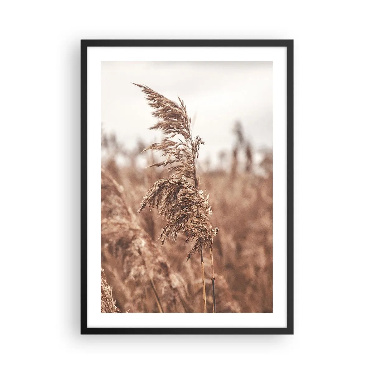 Plagát v čiernom ráme - Tráva na pozadí hmlistej krajiny v prírodných farbách - 50x70cm - Na poliach už je jeseň - Moderná nástenná dekorácia do obývacej izby a spálne ARTTOR