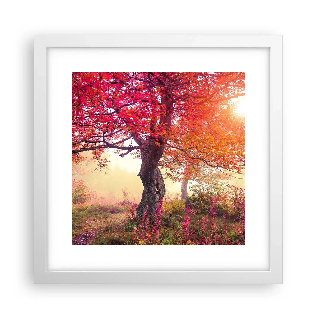 Plagát v bielom ráme - Šialenstvo rozkvetu - 30x30 cm