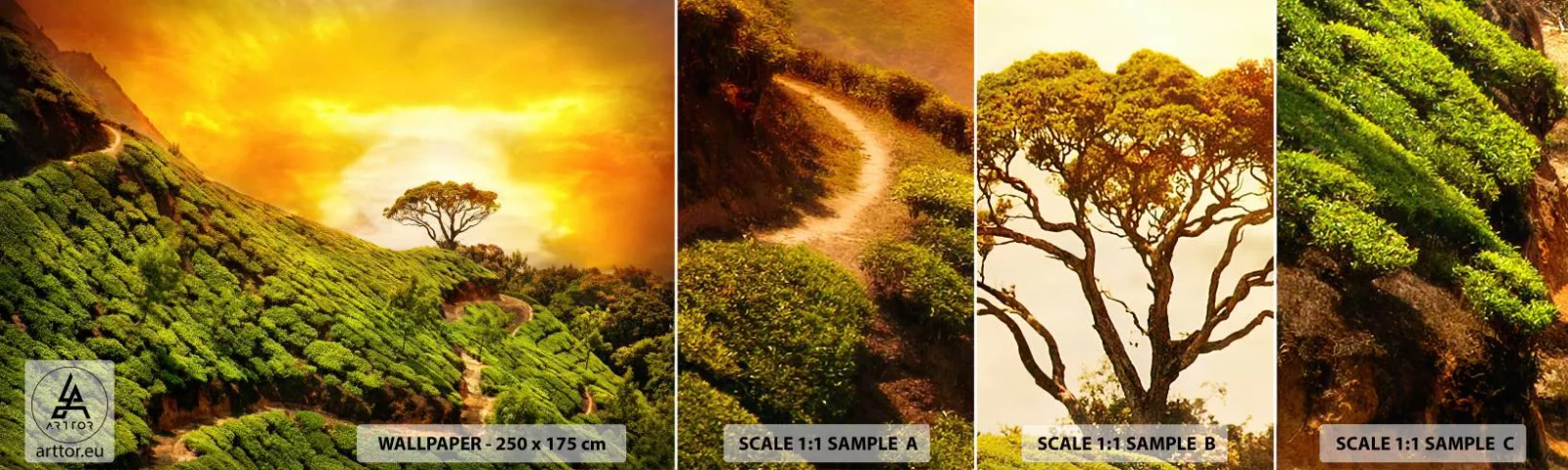 Vzorka Fototapeta Standard Eco - Kľukatým chodníkom, zeleným úbočím - Krajina, Čajová plantáž, India - 100x30 cm