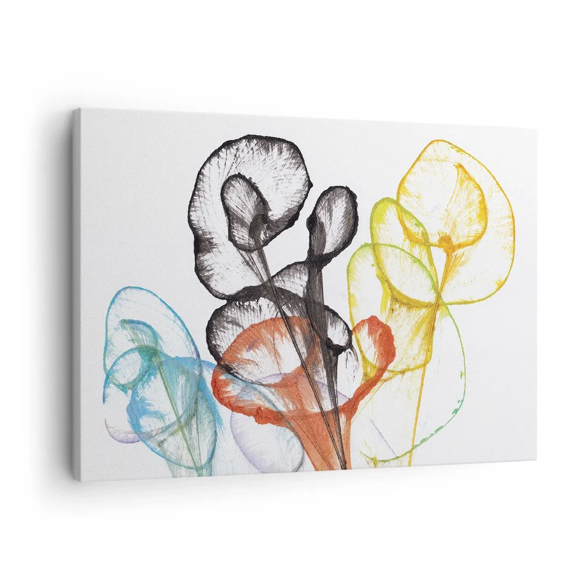Obraz na plátne - Farebné priehľadné kvety na bielom pozadí - 70x50cm - Kvety s dušou - Moderná nástenná dekorácia do obývacej izby a spálne ARTTOR