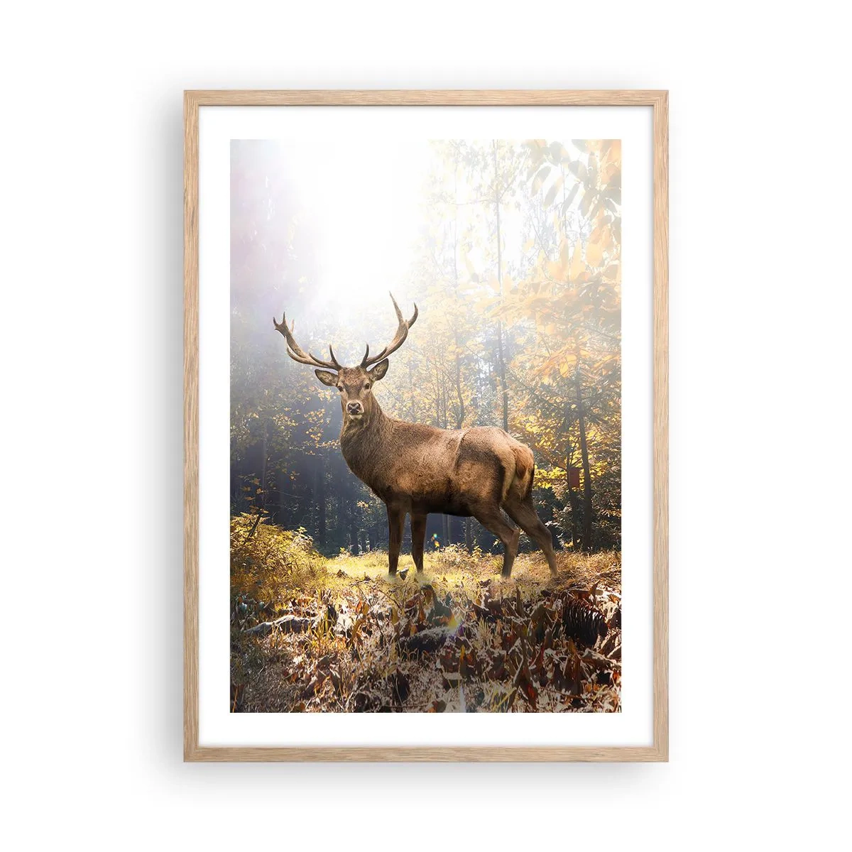 Plagát v ráme zo svetlého duba - Plné dôstojnosti - 50x70 cm