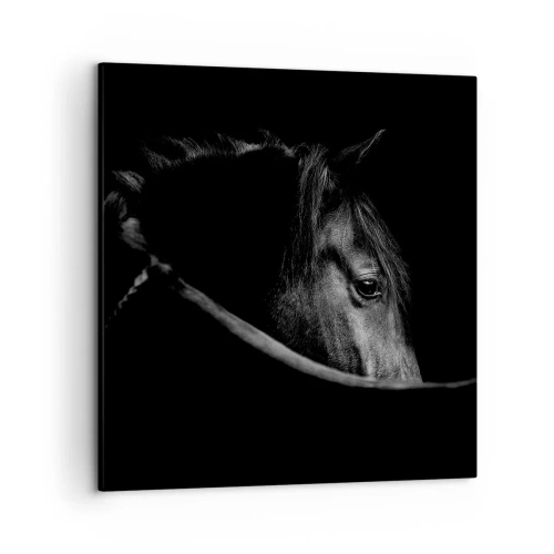 Obraz na plátne - Čierny knieža - 50x50 cm