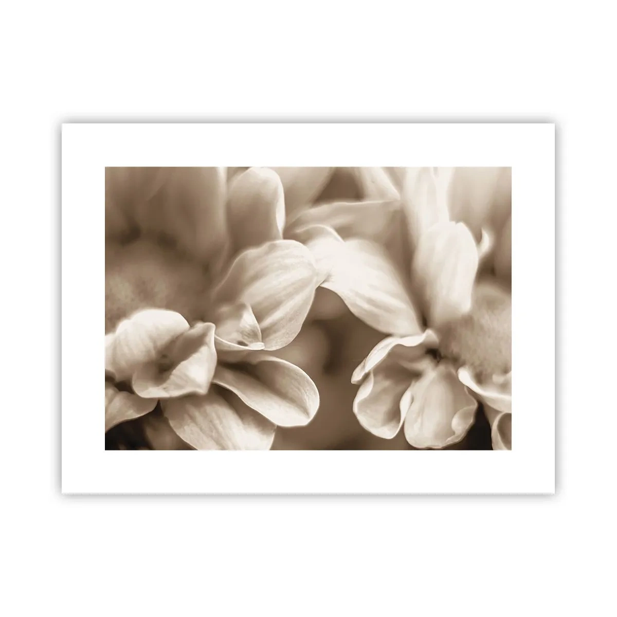 Plagát - Nežné ako úsmev - 40x30 cm