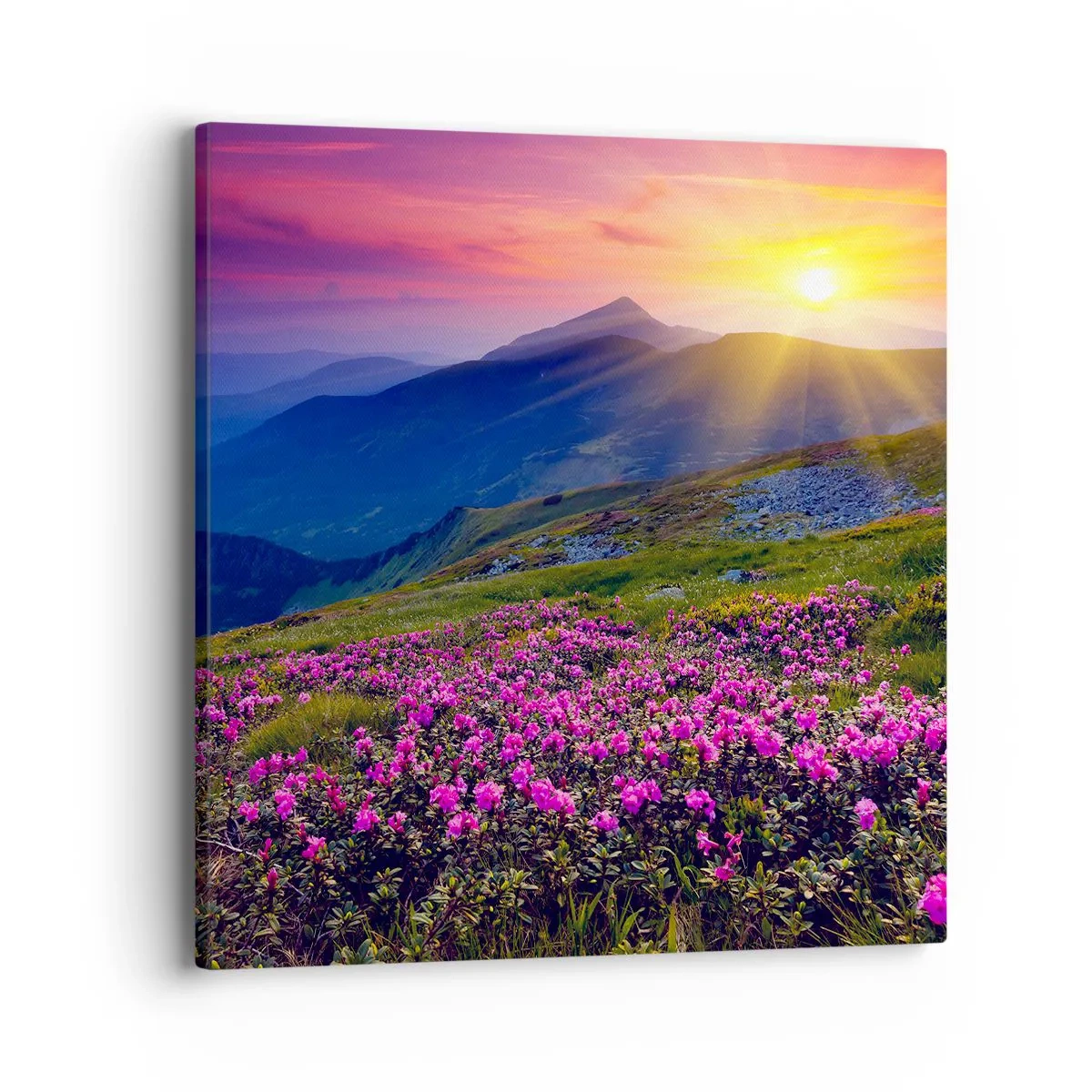 Obraz na plátne - …A okolo vonia kosodrevina a voňajú byliny - 40x40 cm