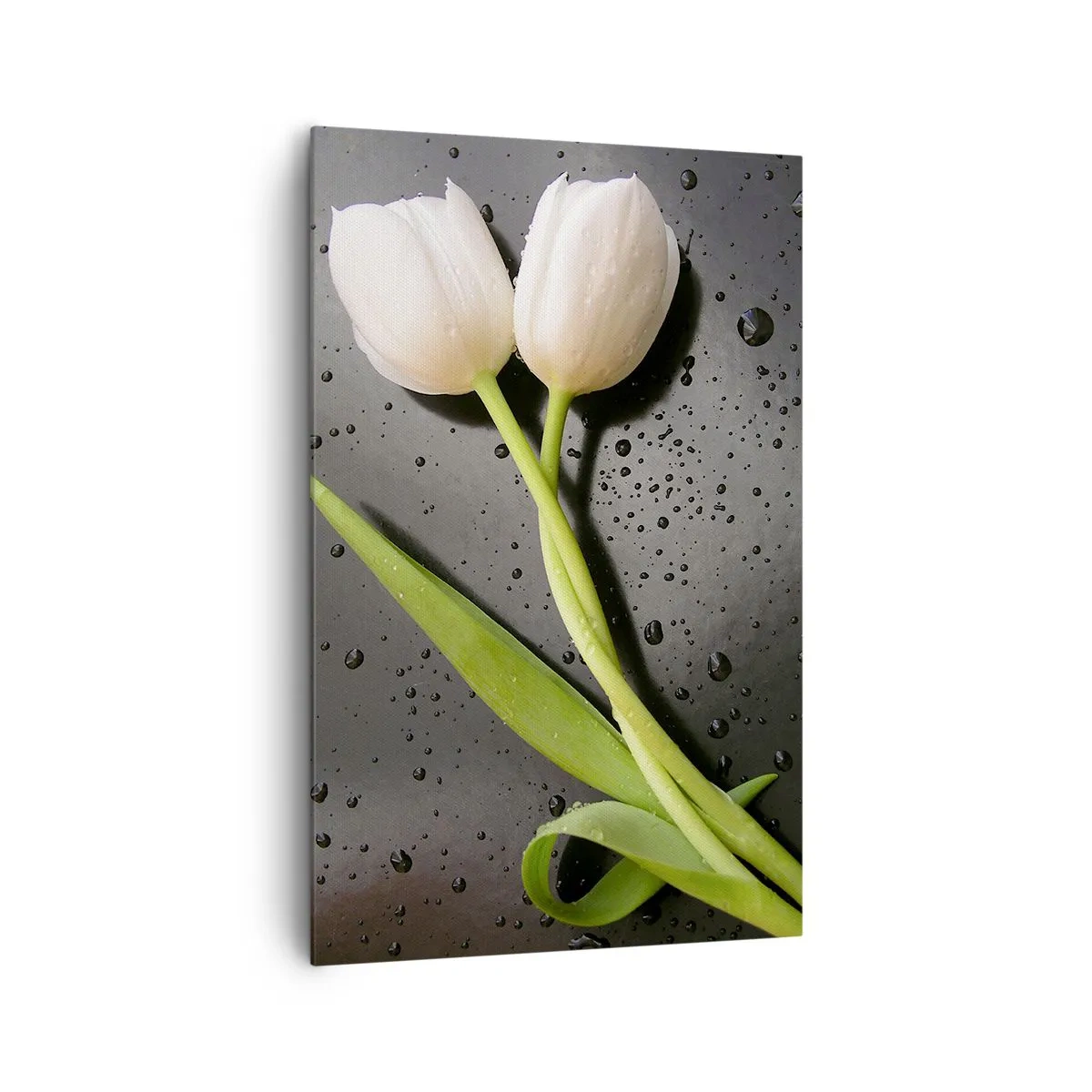 Obraz na plátne - Jarná väzba - 80x120 cm