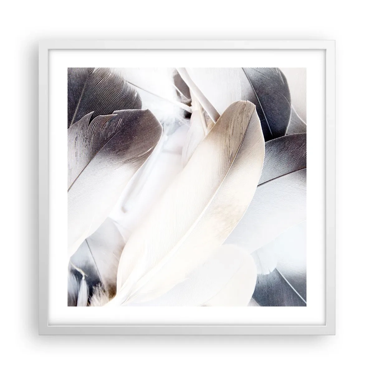 Plagát v bielom ráme - Takmer anjelské - 50x50 cm