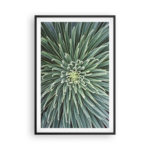 Plagát v čiernom ráme - Zrodenie hviezdy - 61x91 cm