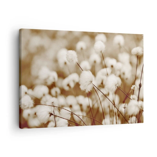 Obraz na plátne - Pole jemných rastlín v sépiových tónoch - 70x50cm - Chlpatý lán - Moderná nástenná dekorácia do obývacej izby a spálne ARTTOR