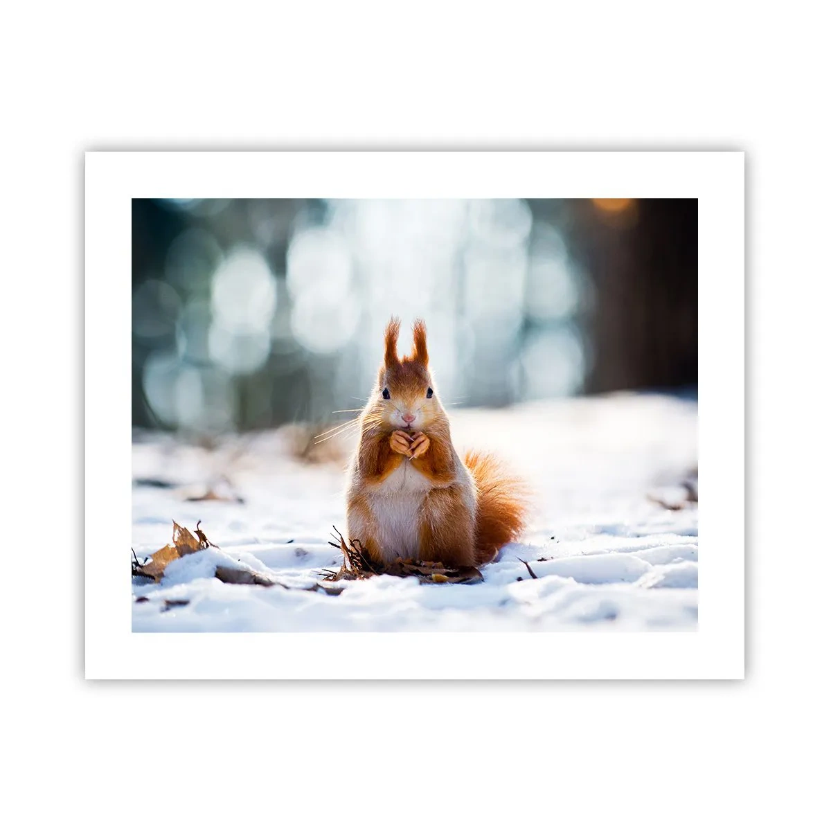 Plagát - Čo sa tak pozeráš? - 50x40 cm