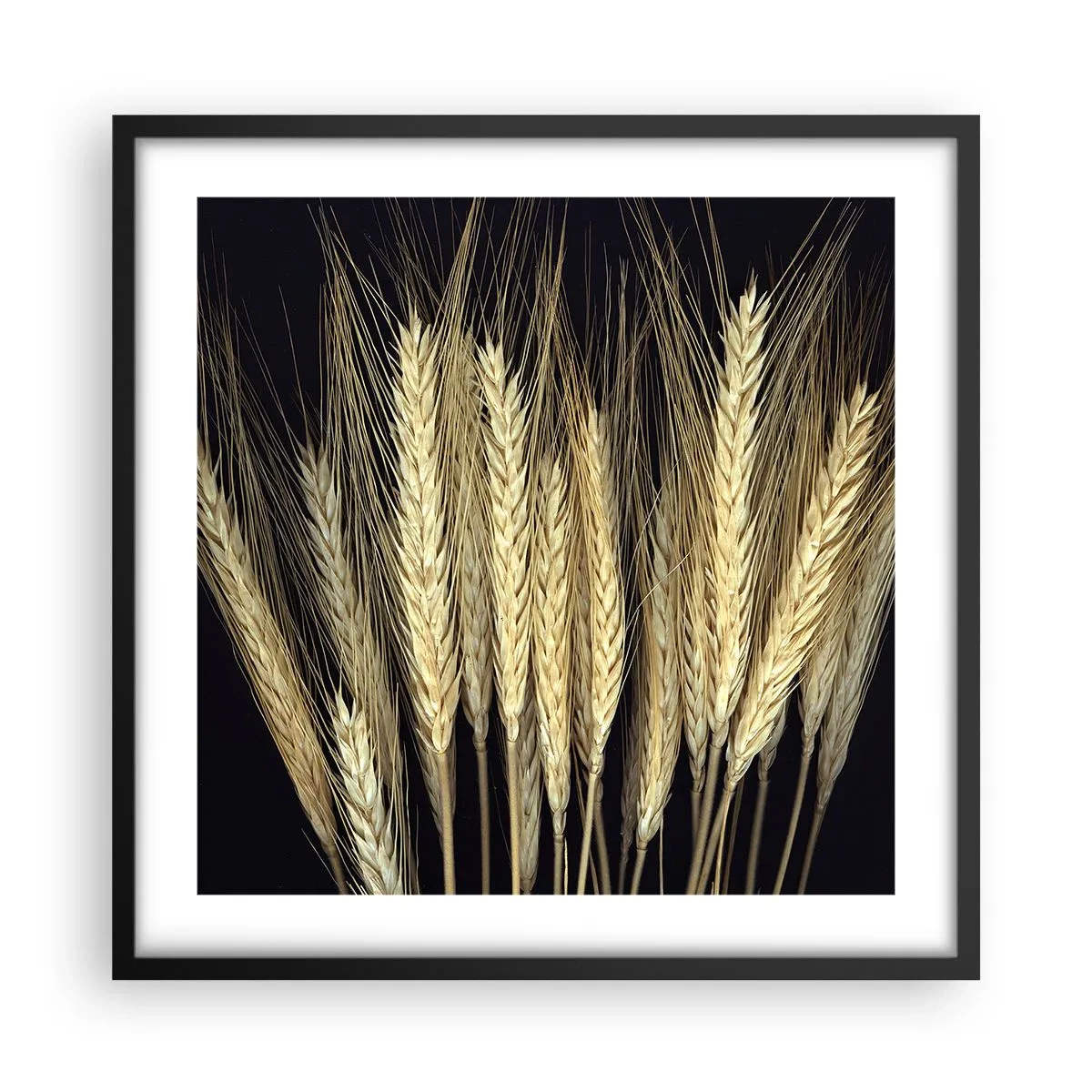 Plagát v čiernom ráme - Rustikálna mágia - 50x50 cm