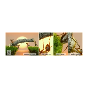 Vzorka samolepiacej fototapety Deluxe Sticker - Radostná, spoločná práca - Príroda, Mravce, Západ slnka - 100x30 cm