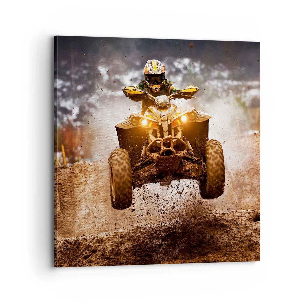 Obraz na plátne - No risk no fun - 70x70 cm