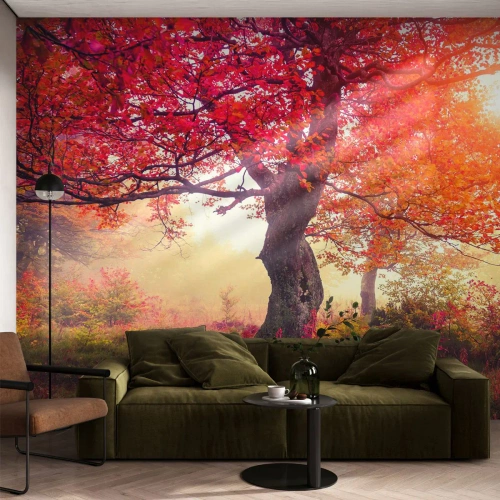 Fototapeta Premium Sand - Šialenstvo rozkvetu - Krajina, Park, Kvety - 500x350 cm
