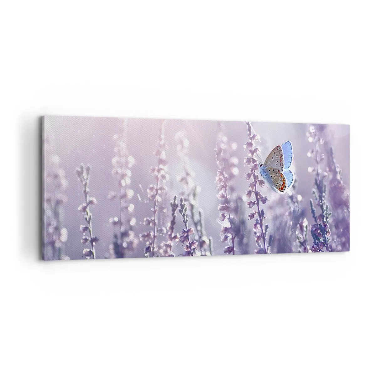 Obraz na plátne - Bozk motýľa - 100x40 cm