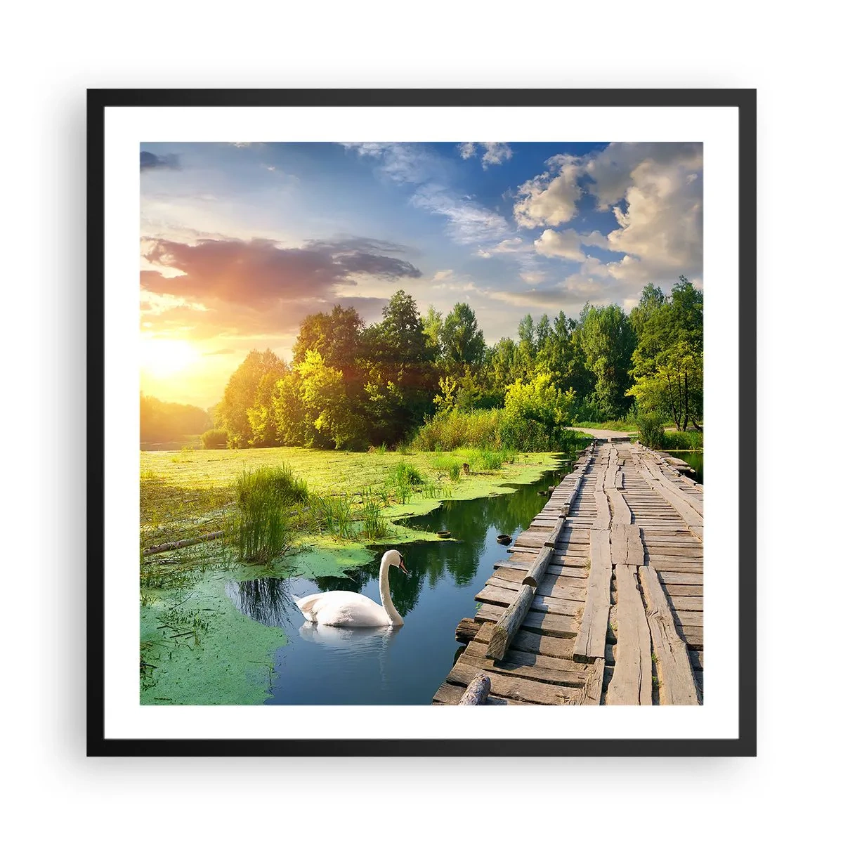 Plagát v čiernom ráme - Leto, leto všade - 60x60 cm