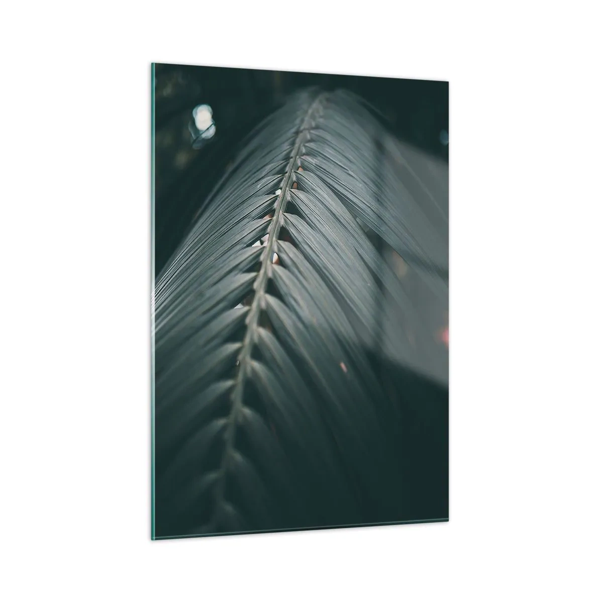 Obraz na skle - Presnosť prírody - 50x70 cm