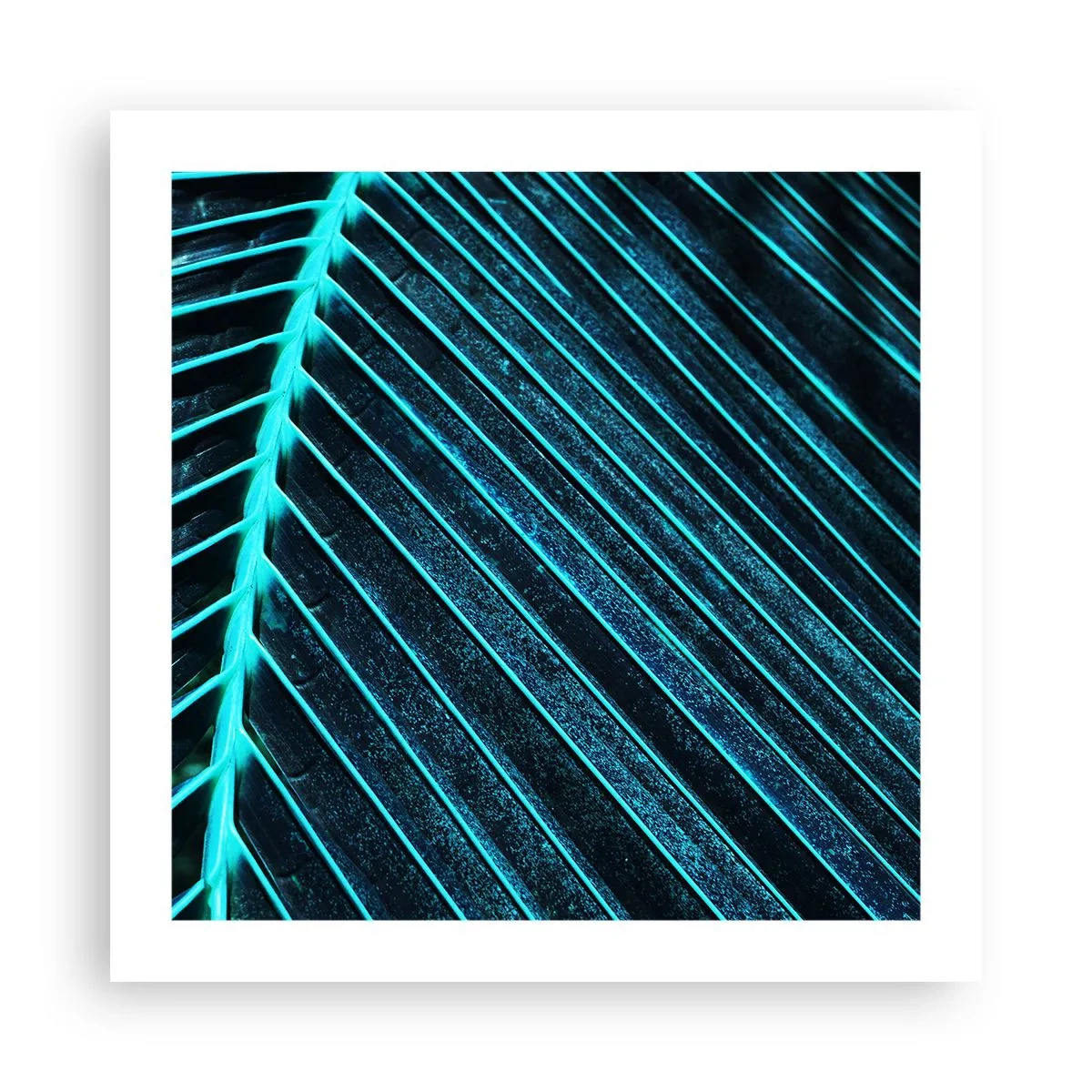 Plagát - Textúra zelene - 50x50 cm
